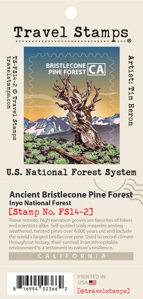 Ancient Bristlecone Pine Forest