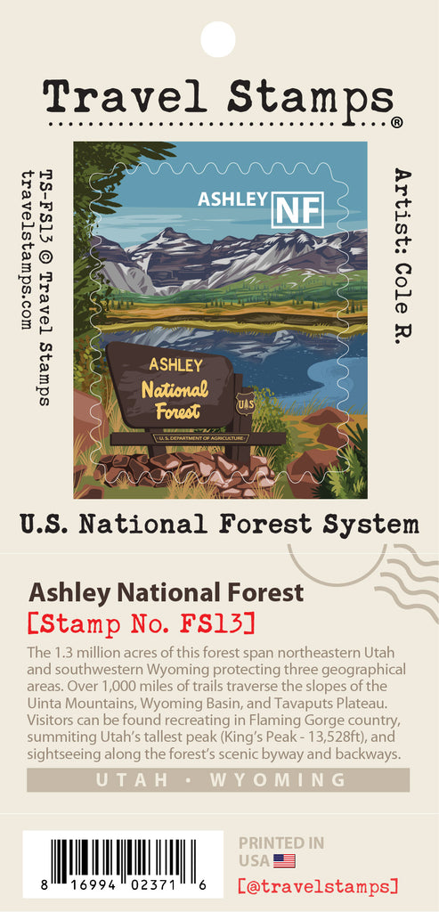 Ashley National Forest