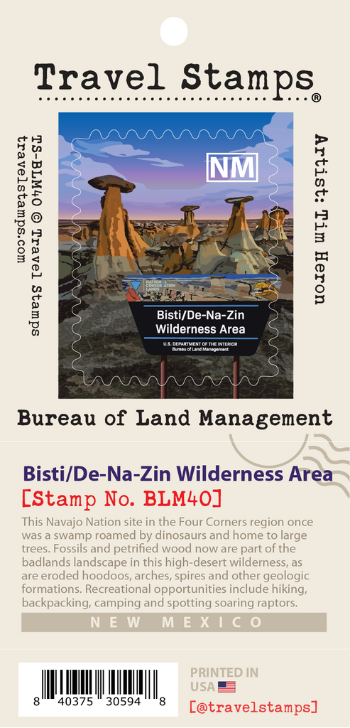 Bisti/De-Na-Zin Wilderness Area