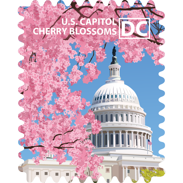 United States Capitol - Cherry Blossoms