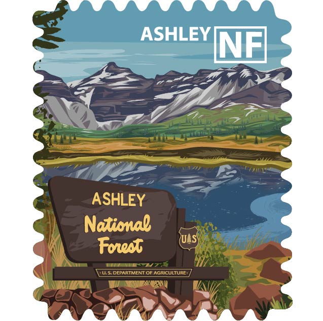 Ashley National Forest