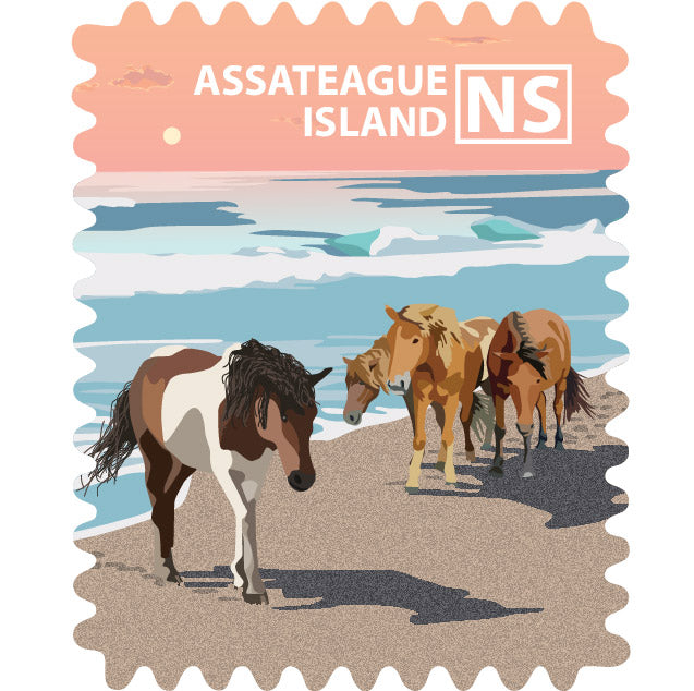 Assateague Island National Seashore