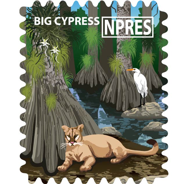 Big Cypress National Preserve