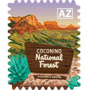 Coconino National Forest