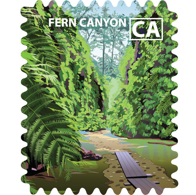 Redwood Parks - Fern Canyon