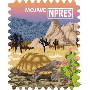 Mojave National Preserve