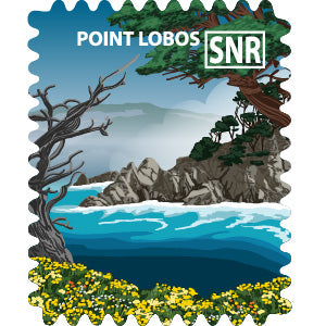 Point Lobos State Natural Reserve