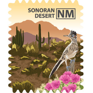 Sonoran Desert National Monument