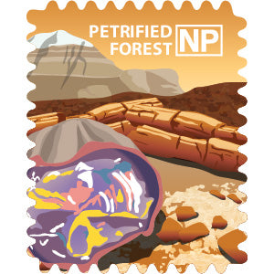 Petrified Forest National Park