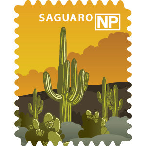 Saguaro National Park