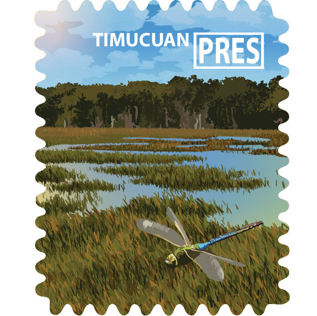 Timucuan Ecological and Historic Preserve